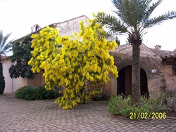 Galería de imágenes