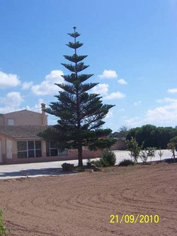 Galería de imágenes