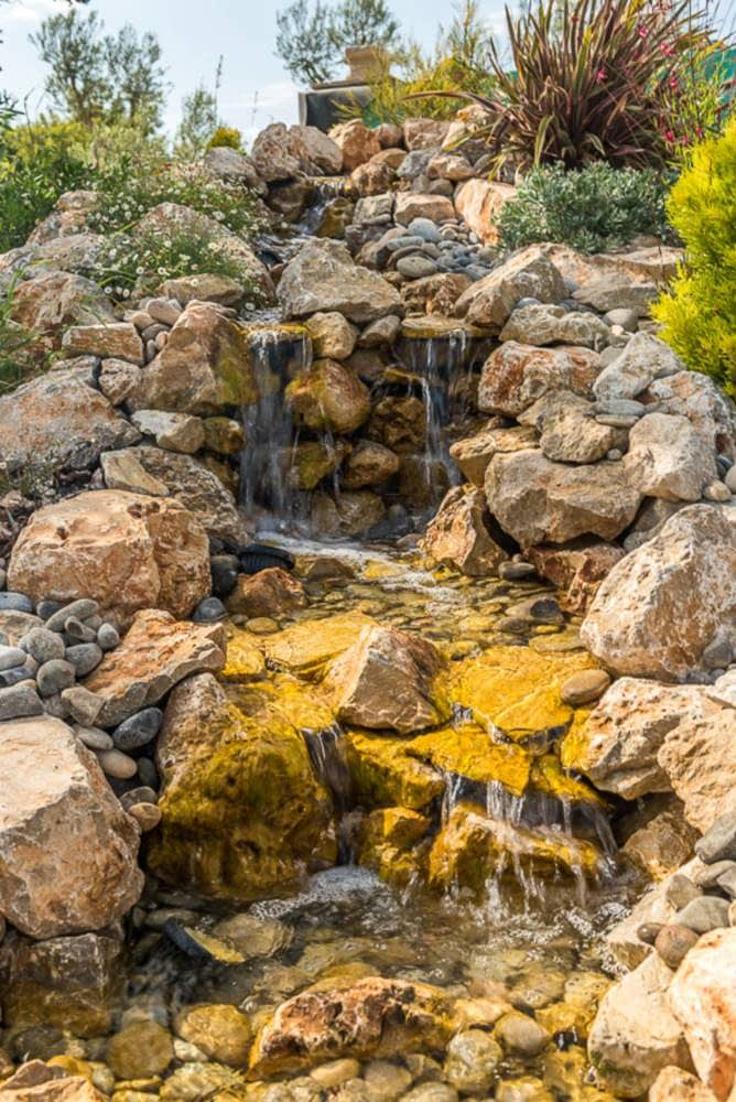 &Aacute;rboles de Mallorca 11