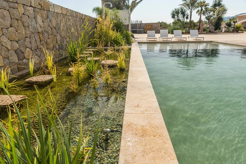 &Aacute;rboles de Mallorca 14