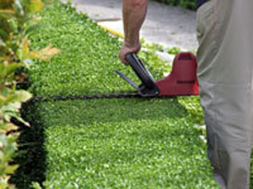 Geseinsa - Gesti&oacute;n De Servicios Integrales 3