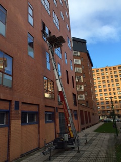 Galería de imágenes