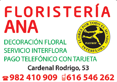 Floristería Ana FLORISTERIAS