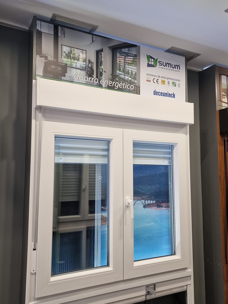 Guadalajara Ventanas 22