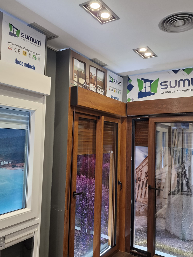 Guadalajara Ventanas 23