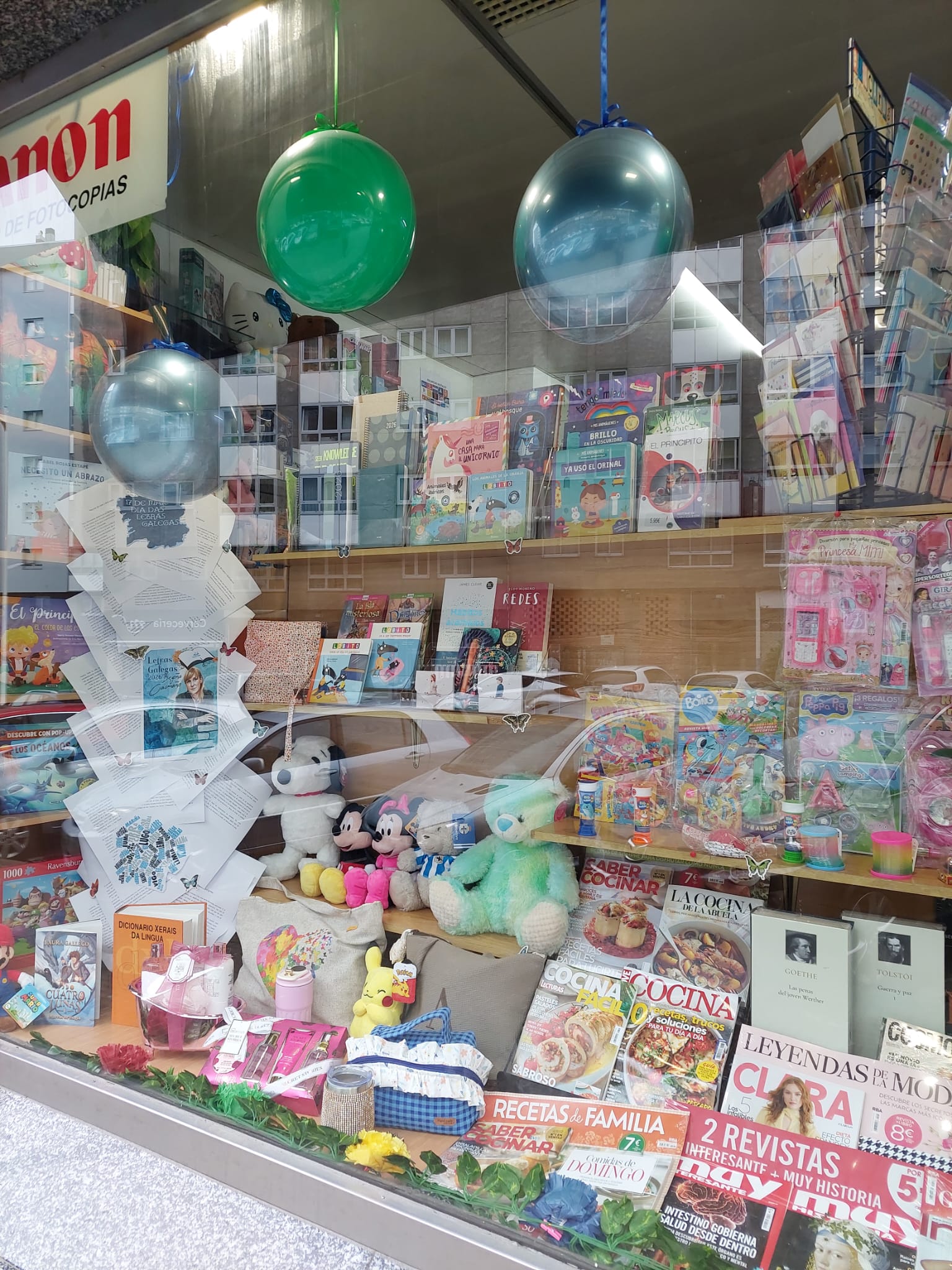 Librer&iacute;a Maiky 13