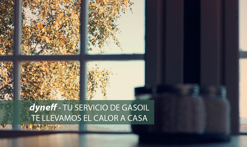 Dyneff Girona