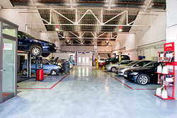 Galería de imágenes