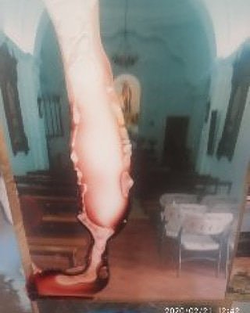 Galería de imágenes