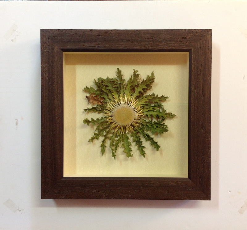 Cuadros Juanma Enmarcaciones 4