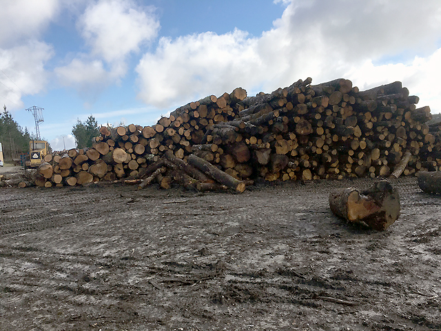 Maderas Madefón MADERA: ALMACENES