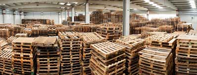 Grupo Cervelo - LUMEPAL 4