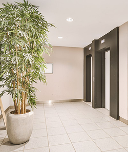 Imagen de Limpiezas Vidal