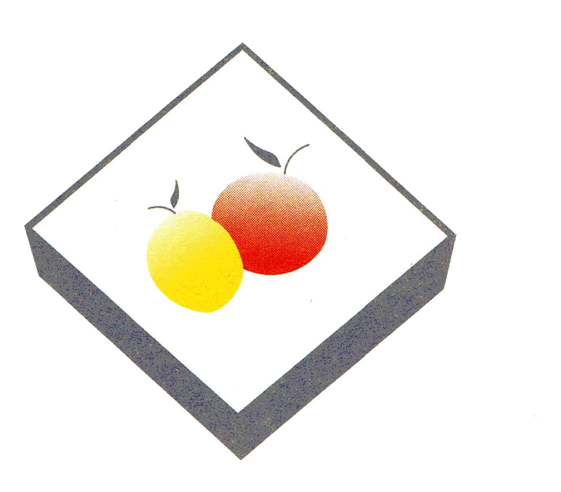 TIM -Tecnología Integrada Del Mediterráneo