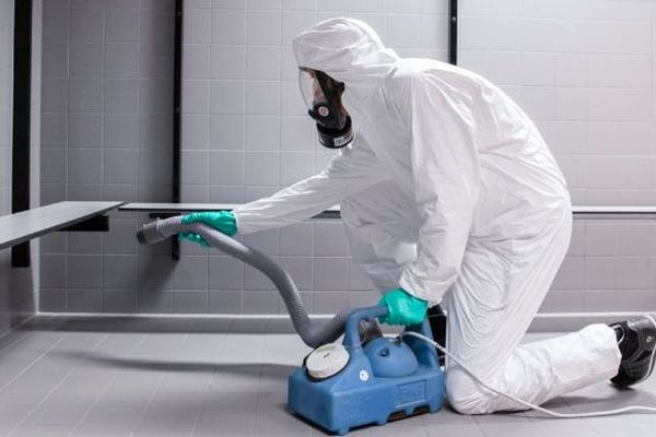 Lysar Limpieza de alfombras 3