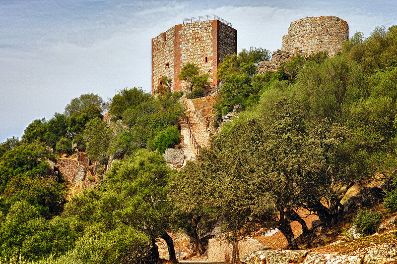 Taxi en Plasencia Carlos Pena Rubio 16