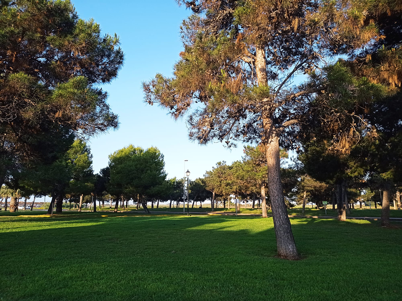 Residencia Nuestra Se&ntilde;ora De Los &Aacute;ngeles Los Alcázares
