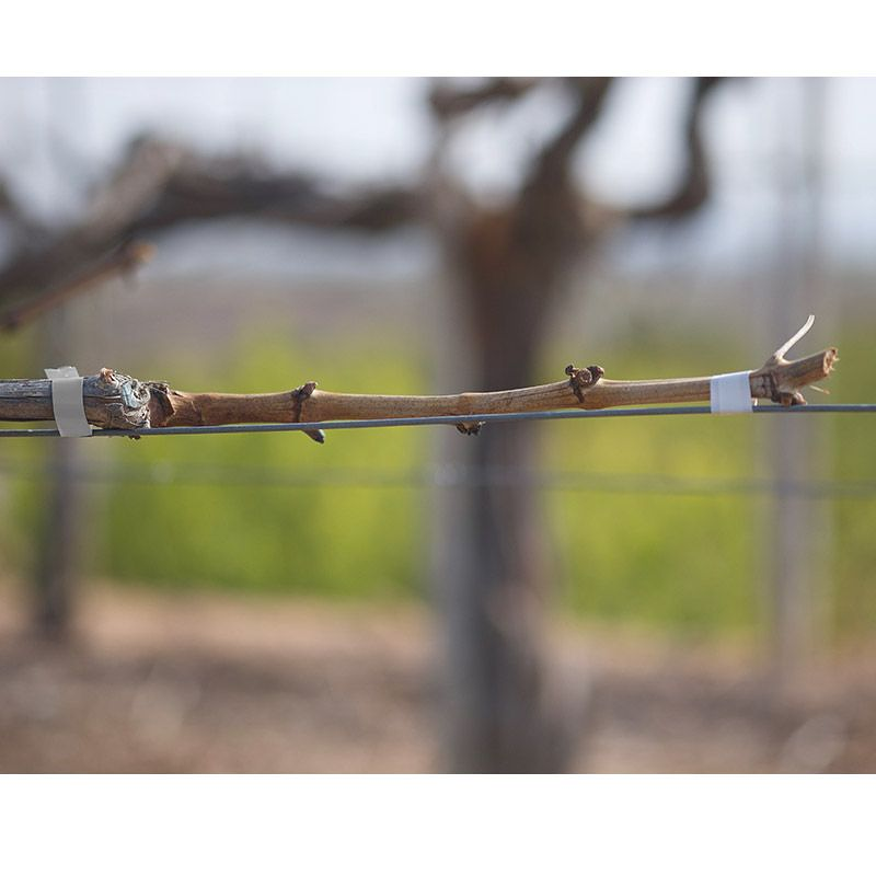 Sistemas de Atado 13