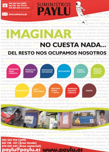 Copister&iacute;a Paylu 3