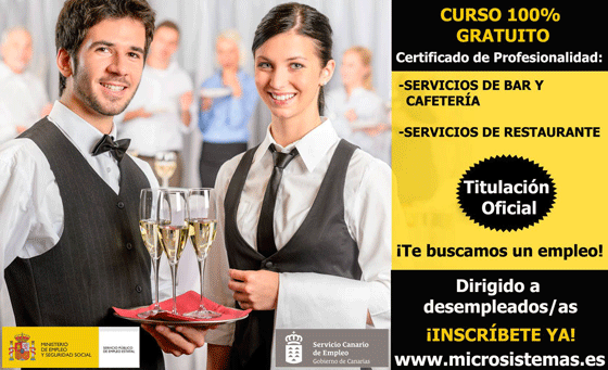 Microsistemas ACADEMIAS DE ESTUDIOS EMPRESARIALES