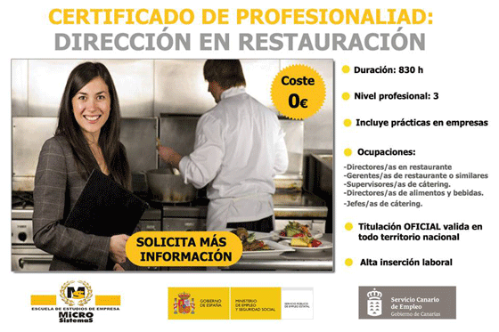 Microsistemas Arrecife