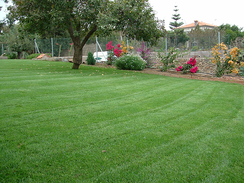 Hardisson Jardiner&iacute;a Tegueste