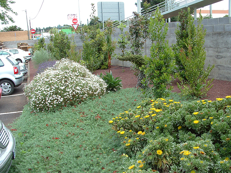 Hardisson Jardiner&iacute;a 2