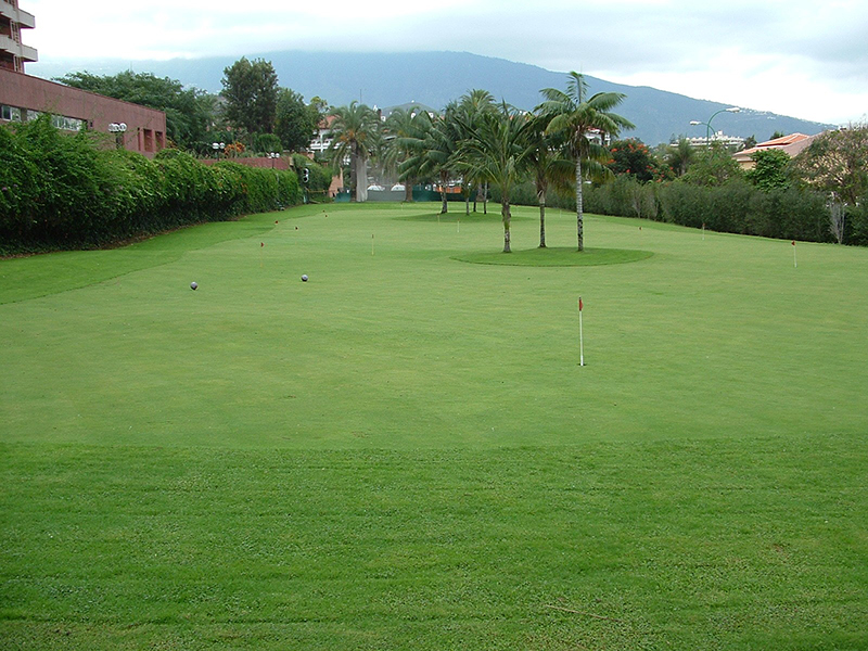 Hardisson Jardiner&iacute;a 4