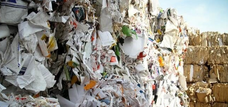 José Manuel Muñoz 8