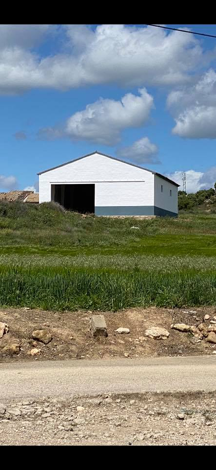 DecorAma Huesca PINTORES