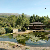 Galería de imágenes