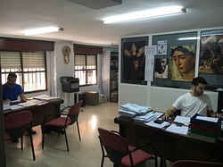 Galería de imágenes