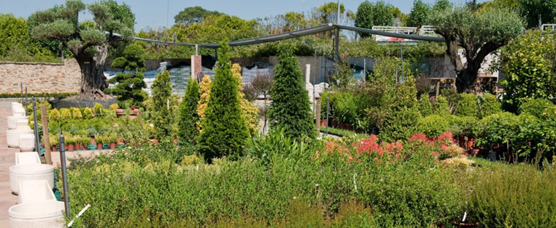 Invernaderos Samil Vigo