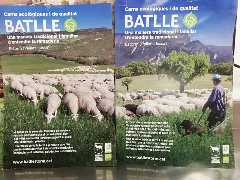 Carnicer&iacute;a Prat 2