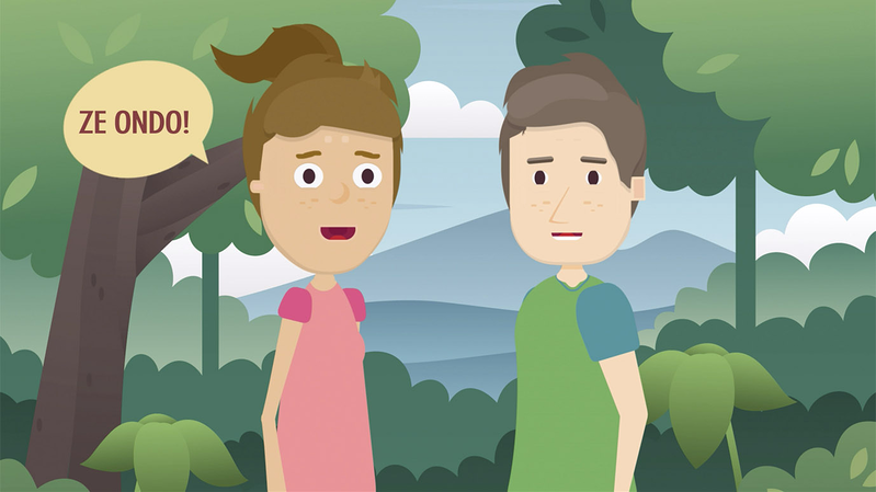 Estilogr&aacute;fico 8