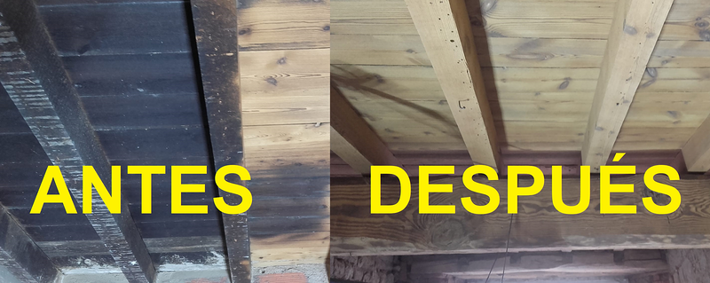 Decapados Castilla 5