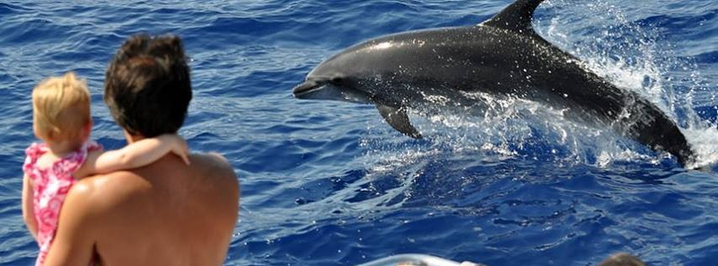 Spirit Of The Sea EXCURSIONES