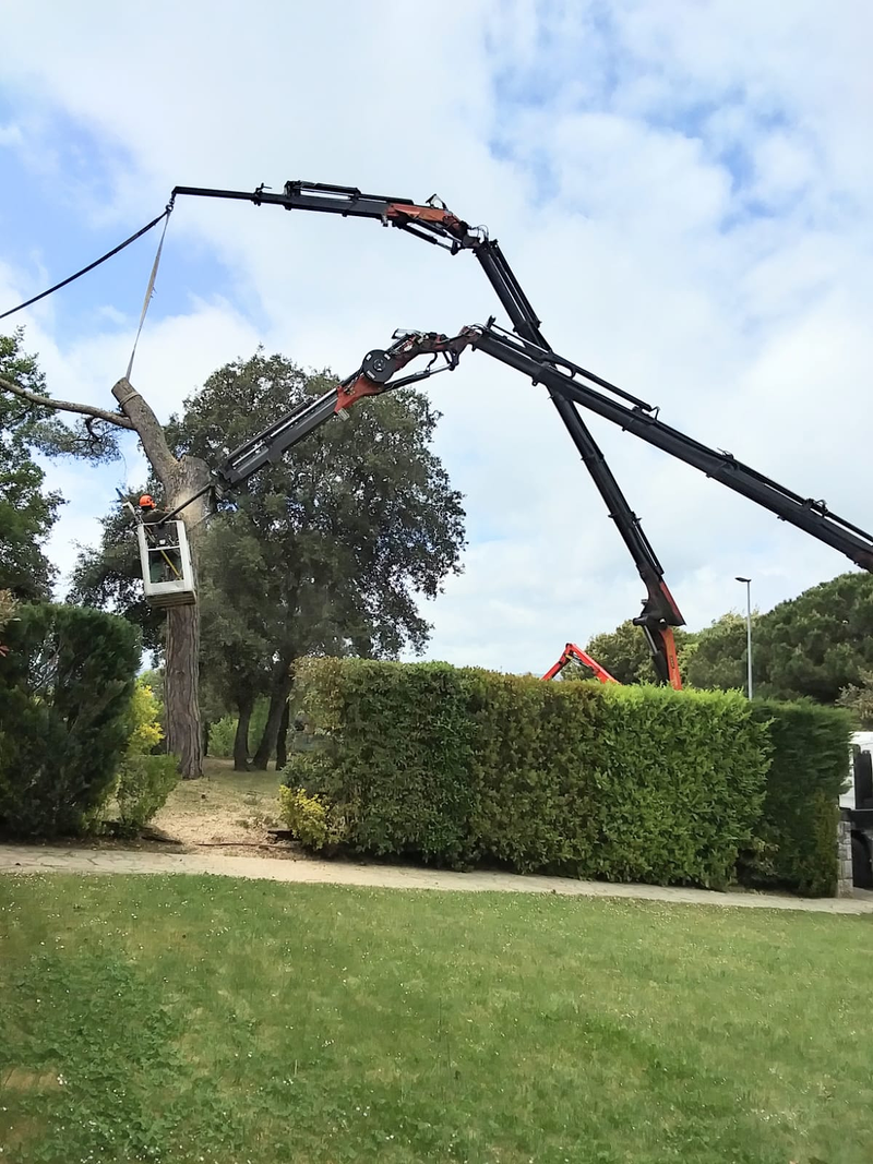 Materials Per a la Construcci&oacute; Miquel Bosch 14