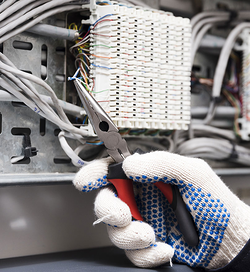 Galería de imágenes