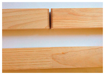 CEMASA, CERCOS DE MADERA SATURNINO S.A. 6