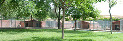 Centro Canino La Yosa 2 Centro Canino La Yosa 2