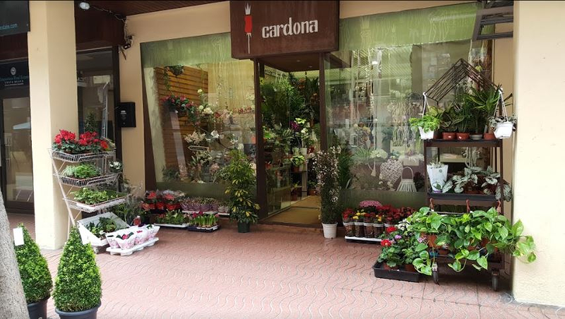 Floristería Cardona 3