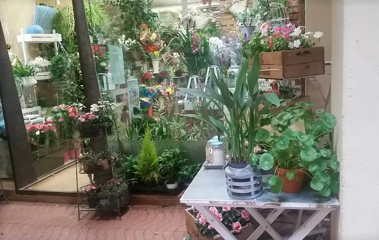 Floristería Cardona 2