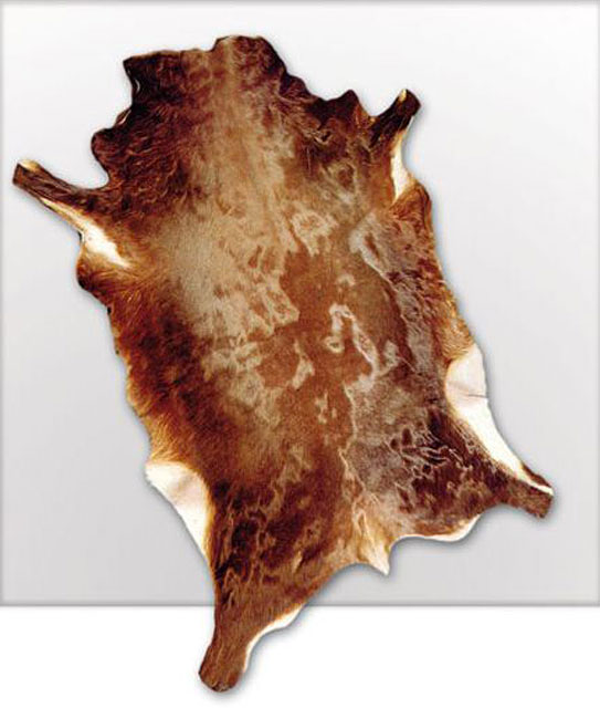 Pelleter&iacute;a Ribalta 4