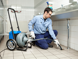 Galería de imágenes