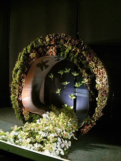 Galería de imágenes