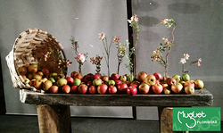 Galería de imágenes