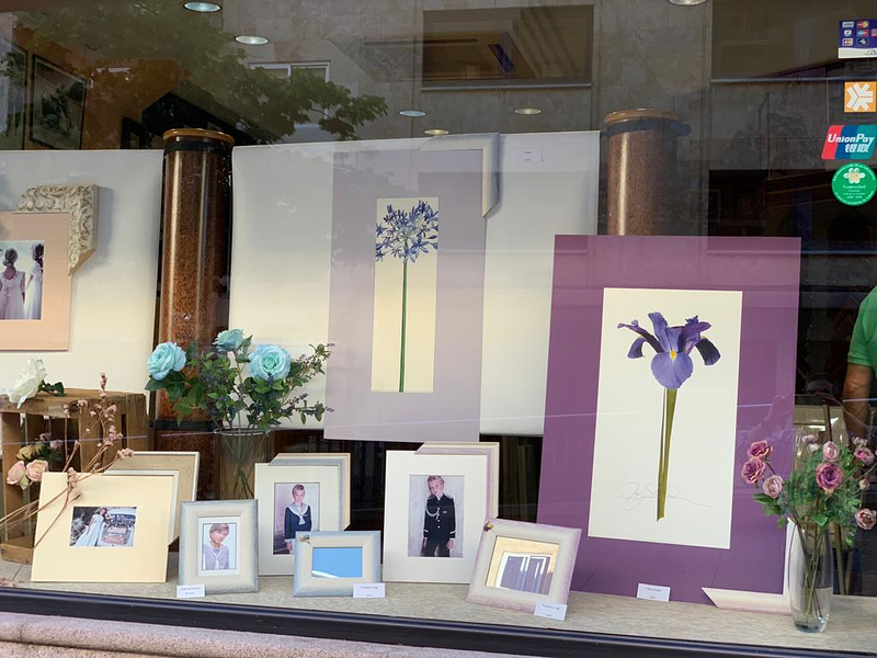 Marcos Y Molduras Agust&iacute;n P&eacute;rez Paz 14