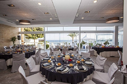 Galería de imágenes