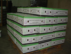 Galería de imágenes